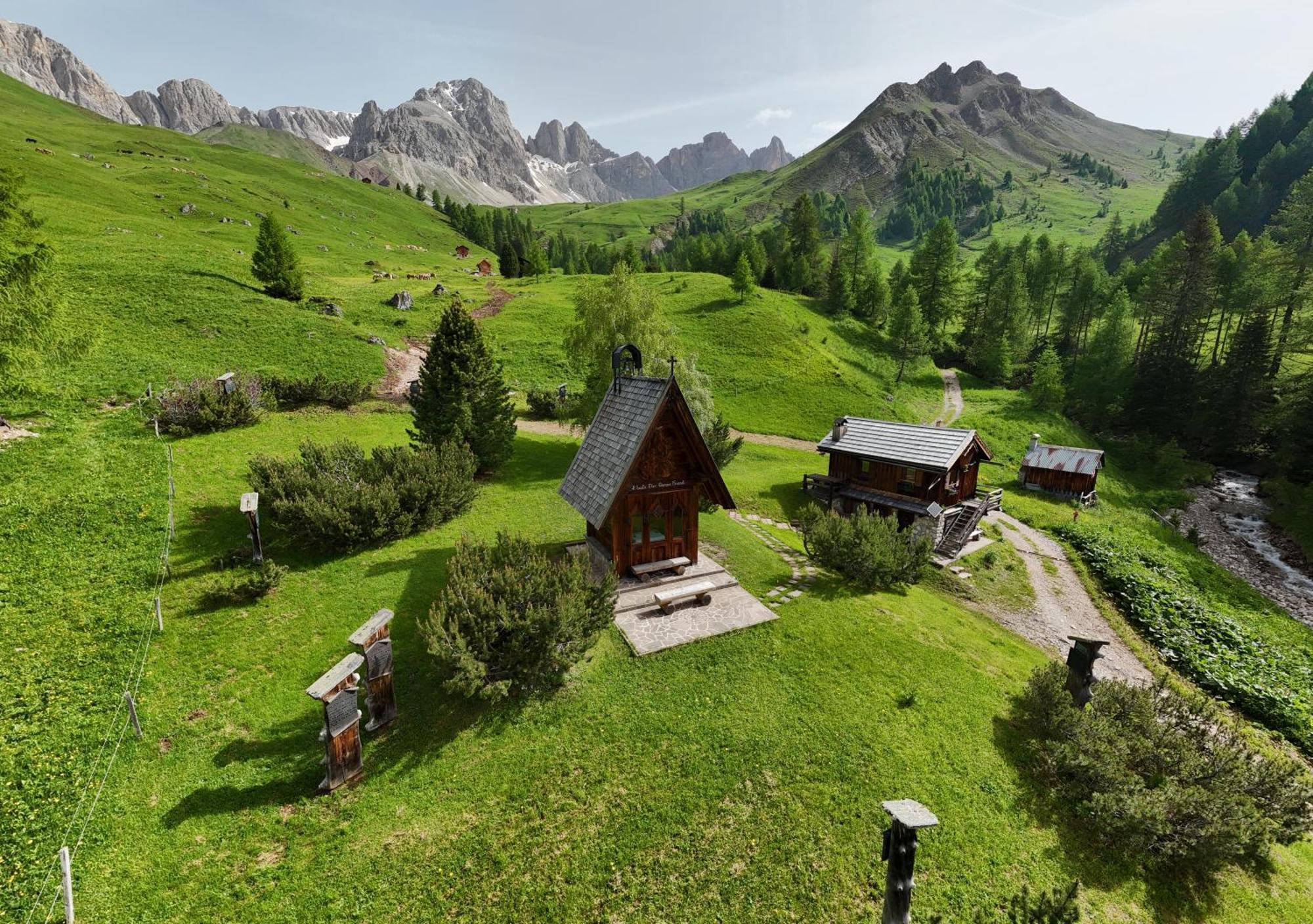 Hotel Rifugio Flora Alpina Passo San Pellegrino Zewnętrze zdjęcie